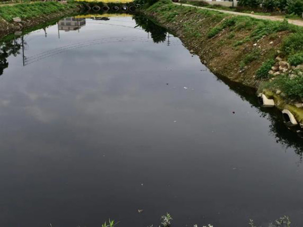 东莞水环境质量稳中求进，内河涌消劣达84.9%