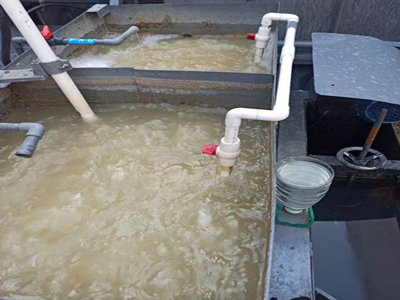 食品厂污水处理设备